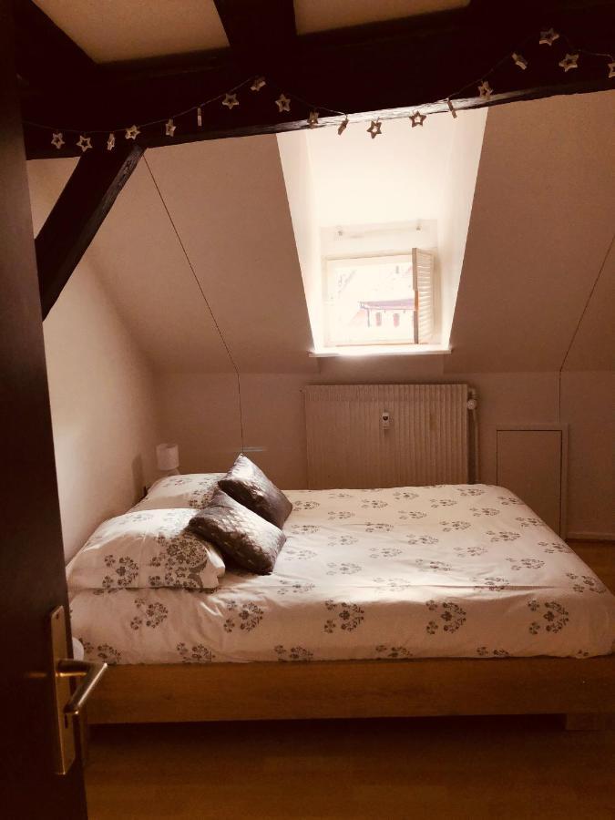 Le Petit Colmarien Hyper-Centre Apartment Exterior photo